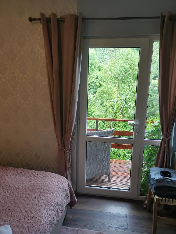 Chic Boutique Apart Sinaia Bagian luar foto